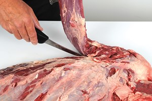 Meat Cut Spec Step 3